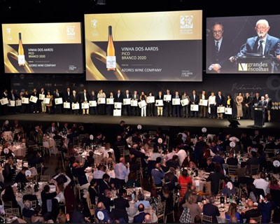 Melhores Vinhos 2023 revelados nos prémios Grandes Escolhas