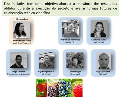 Mesa Redonda do GO – CompetitiveSouthBerries acontece em março