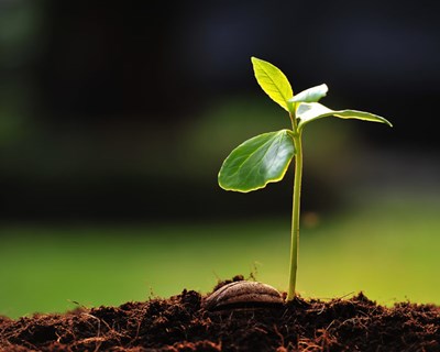 Miami recebe III Congresso Mundial de Bioestimulantes na Agricultura