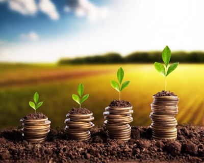Covid-19: Ministério da Agricultura anuncia apoio de 11,1 M€ a agricultores e PME