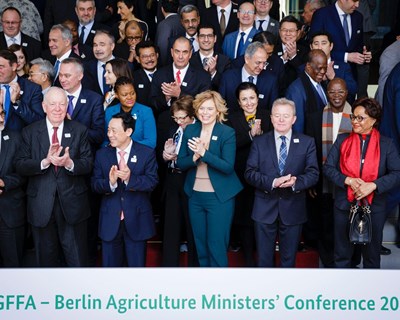 Ministério da Agricultura defende políticas comerciais pensadas para a produção de alimentos seguros