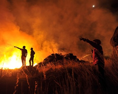 Ministério da Agricultura vai ajudar agricultores e produtores prejudicados pelos incêndios