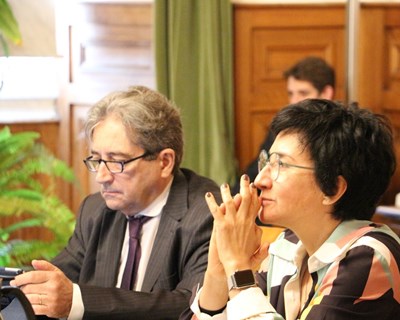 Ministra da Agricultura: «A intervenção da Comissão Europeia permitiu uma resposta a curto prazo, mas limitada a médio prazo»