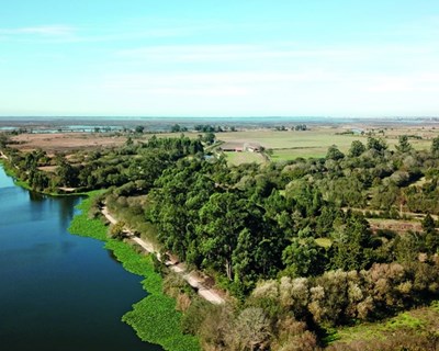Ministra da Agricultura aprova projecto de 14,7 milhões para o Baixo Vouga