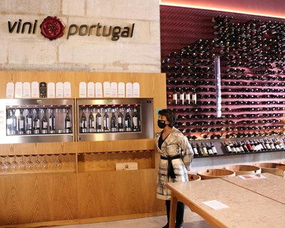Ministra da Agricultura destaca a resiliência do setor do vinho
