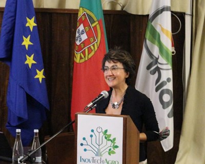 Ministra da Agricultura: «O InovTechAgro visa promover um setor mais inteligente, seguro, moderno e sustentável»