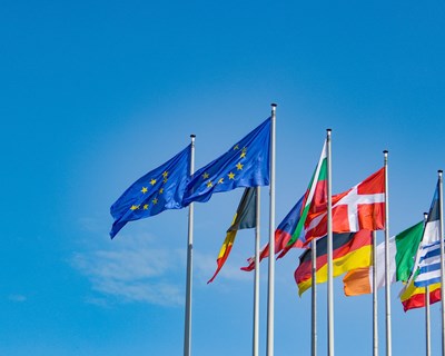 Ministra da Agricultura participa em Conselho Europeu de Agricultura e Pescas e a situação da seca será um dos assuntos em análise