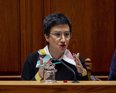 Ministra da Agricultura quer ver reforçado o papel da DGAV na saúde e bem-estar dos animais de produção