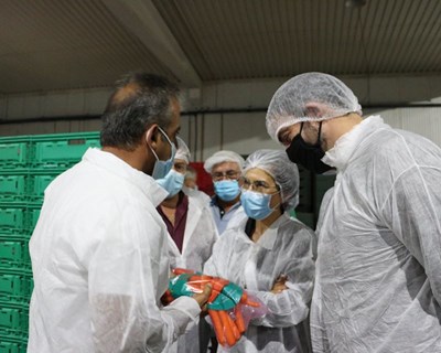 Ministra da Agricultura visita a Primohorta e agradece novamente o esforço dos agricultores
