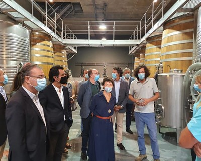 Ministra da Agricultura visita a Região do Douro