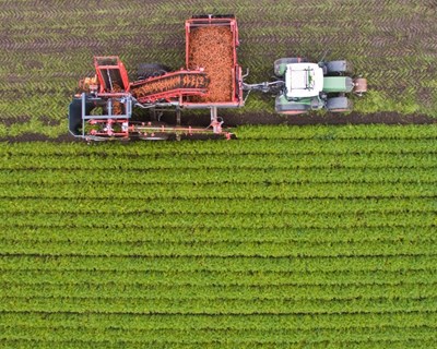 Ministro da Agricultura e Pescas participa na conferência "EIP-AGRI Operational Groups: Innovation in Practice”