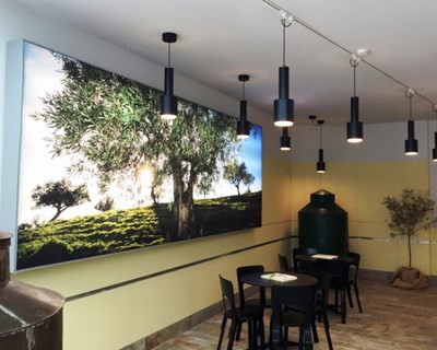 Mirandela: museu da Oliveira e do Azeite atraiu cerca de 9 mil visitantes no primeiro ano