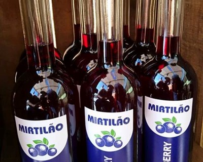 Mirtilão: de Oliveira do Hospital para o mundo
