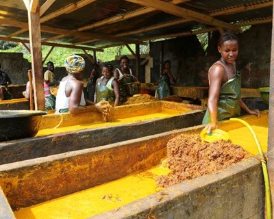Missão empresarial a São Tomé e Príncipe