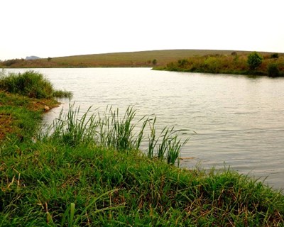 Moçambique: agricultura só terá sucesso com erradicação da pobreza