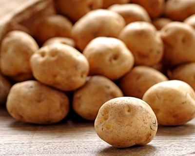 Moita promove mostra biológica dedicada à batata