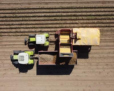 Mondego Agrícola quer revolucionar a agricultura no Baixo Mondego
