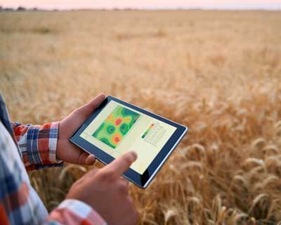 Monitorização de terrenos na Agricultura: como aplicar os dados