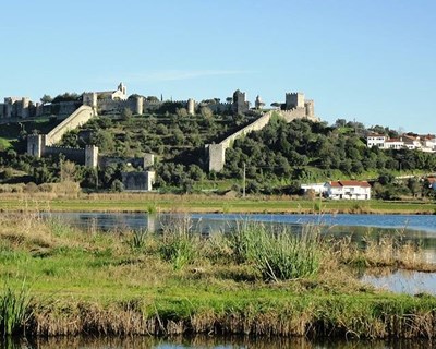 Montemor-o-Velho debate alterações climáticas e o seu impacto na agricultura