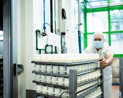 Montiqueijo está de parabéns. Celebra 60 anos de história.