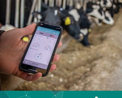 MSD Animal Health apresenta a próxima geração do software de monitorização SenseHub® Dairy