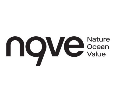 N9VE vence final nacional dos eAwards e habilita-se a vencer 70 000€