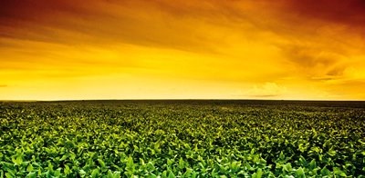 «Não há empréstimo mais seguro do que aos agricultores», garante Capoulas Santos