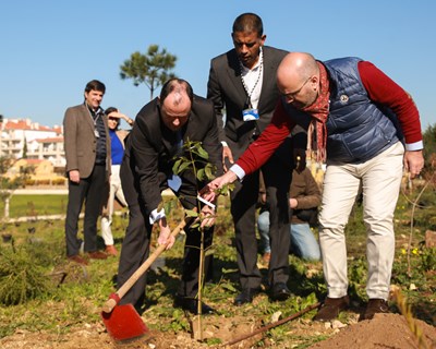 Navigator, Nova SBE e Fundação Alfredo de Sousa inauguram Navigator Park com 3000 m2