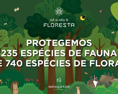 Navigator sensibiliza crianças em Setúbal para a importância da floresta