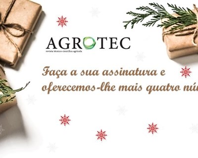 Neste Natal ofereça conhecimento