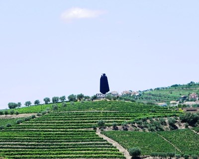 No Douro a vinificação tecnológica é cada vez mais uma realidade