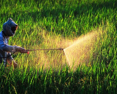 Nova legislação de proteção e controlo de pragas vegetais