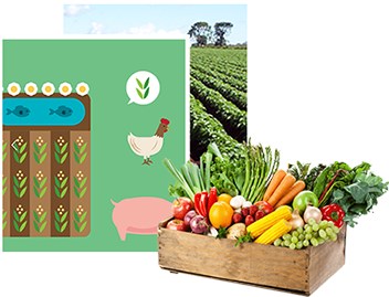 Nova plataforma virtual vai ligar agricultores e consumidores de todo o país