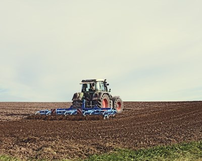 Nova regulamentação comunitária de medidas de proteção contra pragas e doenças vegetais