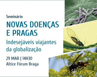 Novas doenças e pragas em debate na AGRO 2019