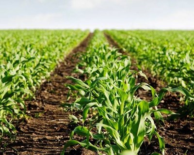 Novas regras para promover a reutilização de água na agricultura