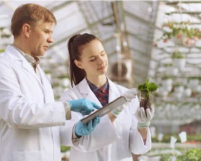 Novas técnicas de melhoramento de plantas