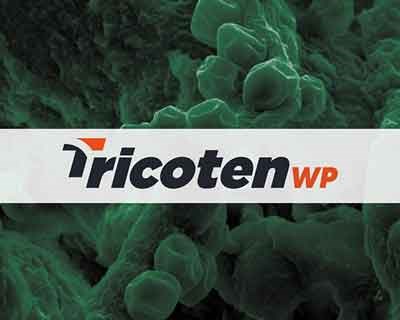 Novo biofungicida para um controlo eficaz e sustentável das doenças do solo