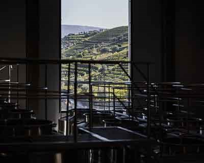 Novo investimento: Centro de Vinificação do Vale do Douro já arrancou para a primeira vindima