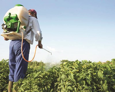 Novo recorde: comércio agroalimentar da UE com 36,5 mil milhões de euros em outubro