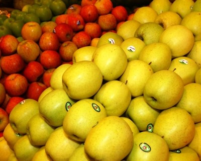 Novo sensor ajuda a saber que alimentos faltam na despensa e frigorífico