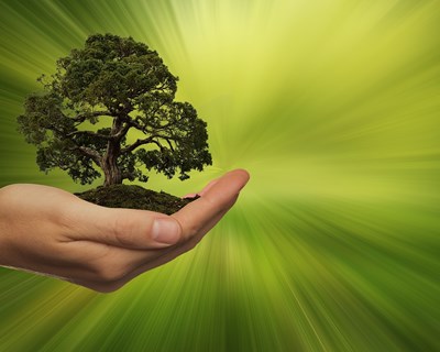 Novo serviço de apoio à sustentabilidade ambiental para empresas