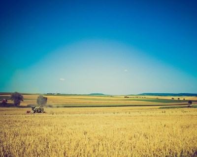 Novos workshops regionais de inovação e agricultura em Coruche