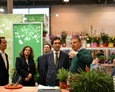 Nuno Russo: «É preciso continuar a levar a marca Portugal além-fronteiras»