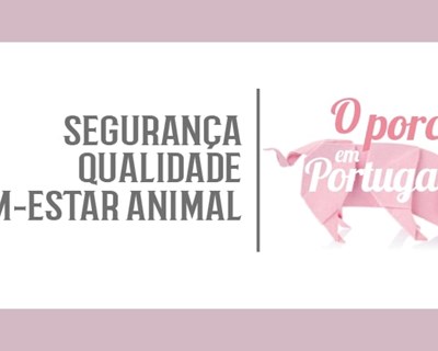 O bem-estar animal em suinicultura é uma realidade ou é um mero argumento de marketing?