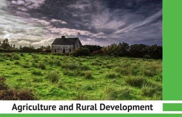 O desafio do abandono da terra após 2020 e opções para as medidas de mitigação