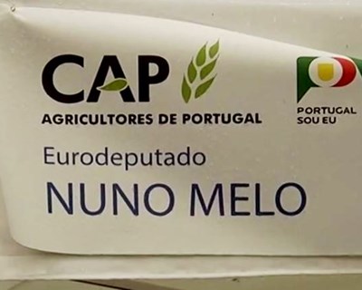 O "Melhor de Portugal" à prova em Bruxelas