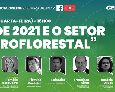 O OE 2021 e o setor agroflorestal em debate
