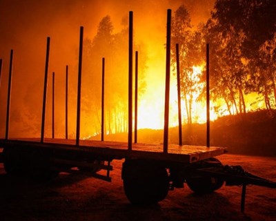 O país do faz de conta...arde. Vai tudo ficar na mesma?