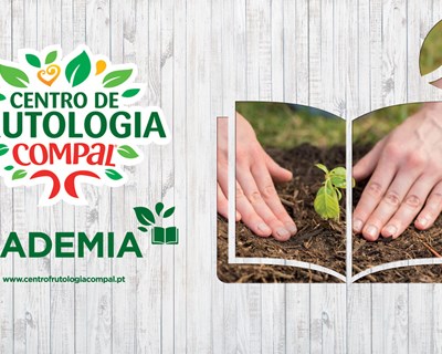 Conheça os melhores projetos da Academia 2020 do Centro de Frutologia Compal